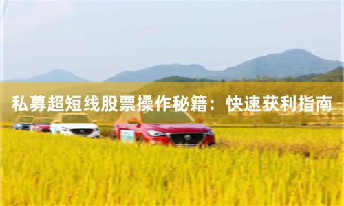 私募超短线股票操作秘籍：快速获利指南